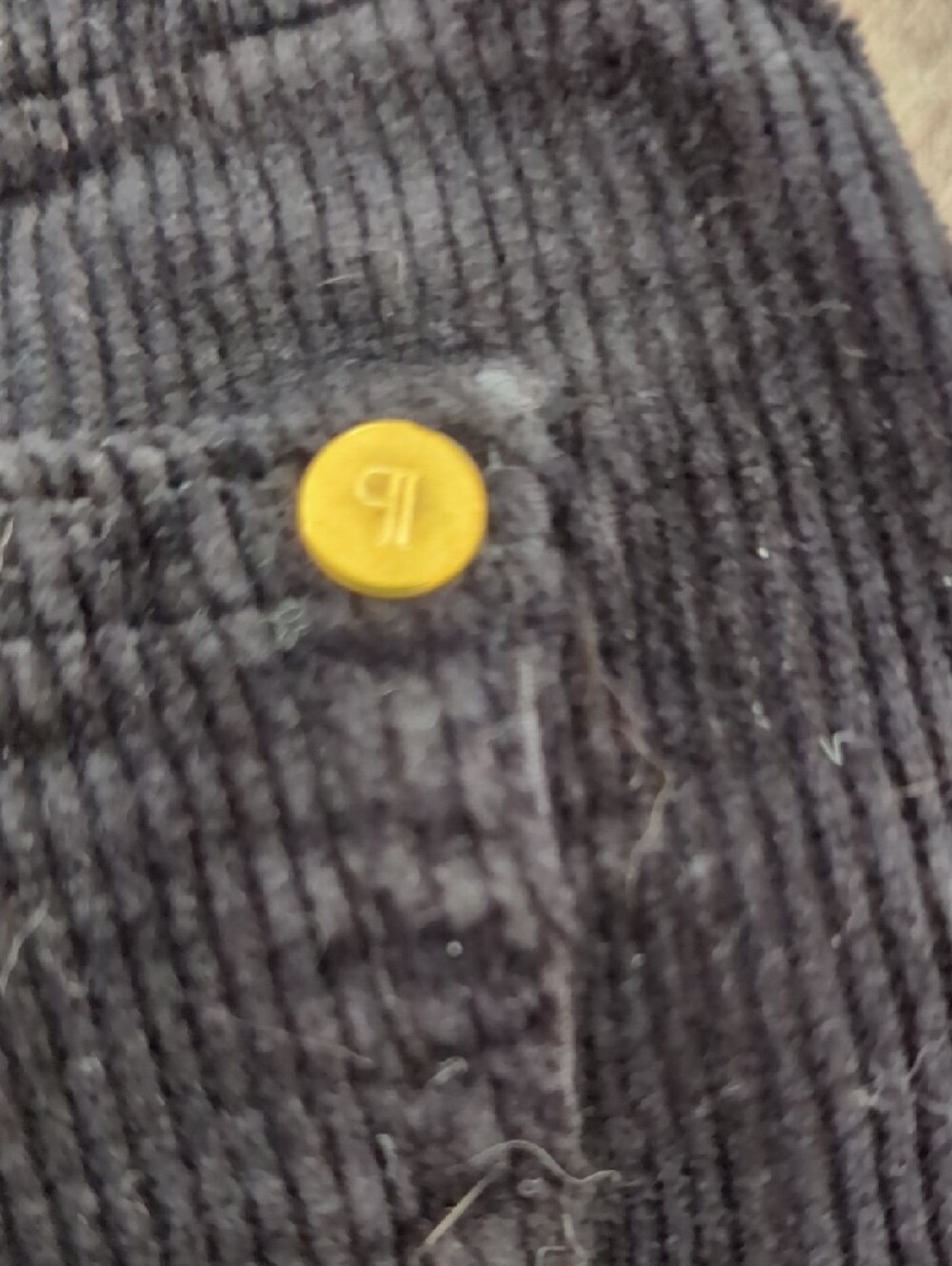 Pilcro Dark Gray Corduroy Pants Bellbottom Flare Size 28 - Picture 8 of 8